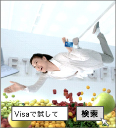 20101025_visa.jpg